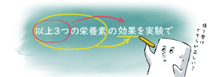 翻訳に適した原文 日本語 の書き方の重要性 係り受け に注意 ブログ 多言語翻訳と制作のアイ ディー エー株式会社